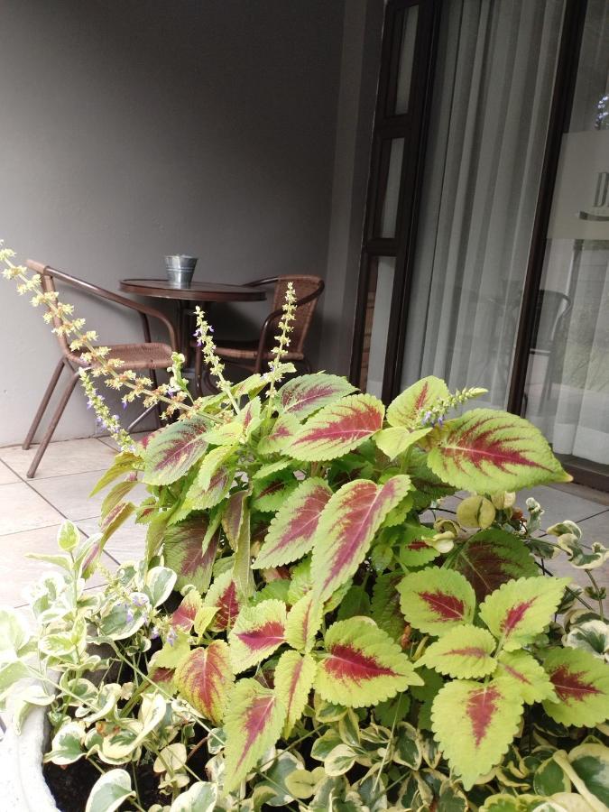 Ditsaleng Bed And Breakfast Vanderbijlpark Εξωτερικό φωτογραφία